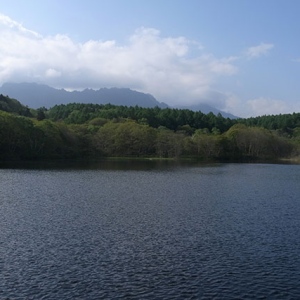 小鳥が池