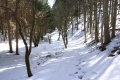 雪が深い