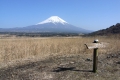 富士山がいっぱい