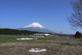 牧場の横を