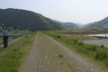 堤防に沿って