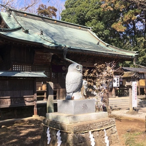 フクロウの神社