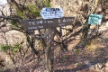 表参道と合流