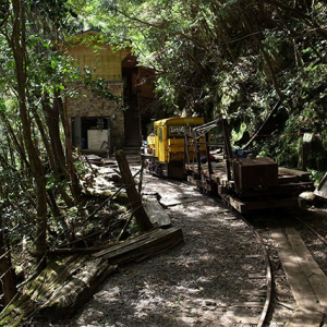 大株歩道入口