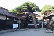 本間家の本邸