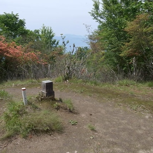 柳沢の頭