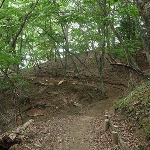 整備された緩やかな道