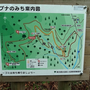 イモノキ尾根