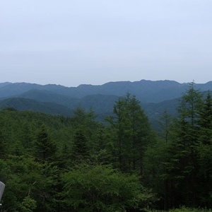 かなり地味な山容