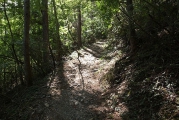 登山道