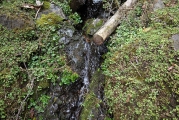 小さな沢の水汲み場