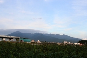 愛鷹連峰