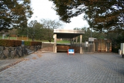 広見公園で打ち切り