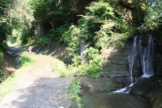 至る所に水が流れている