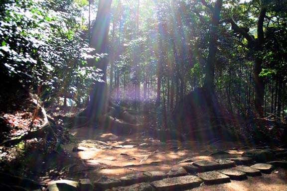 日向薬師の参道