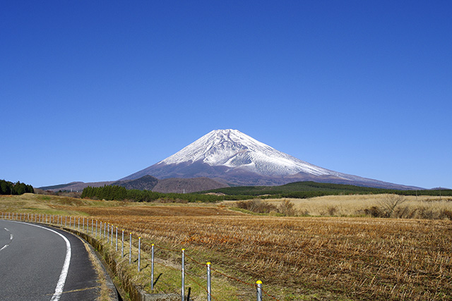 忠ちゃん牧場から富士山南面