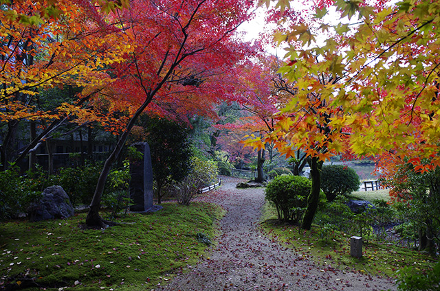 廻遊式庭園