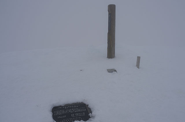 雪に埋もれる前に