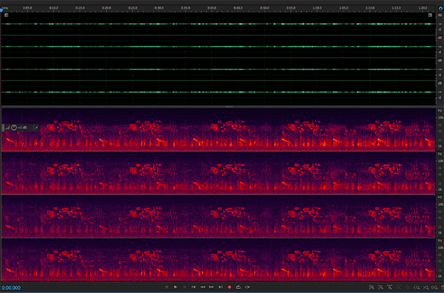 Sample1 tracks