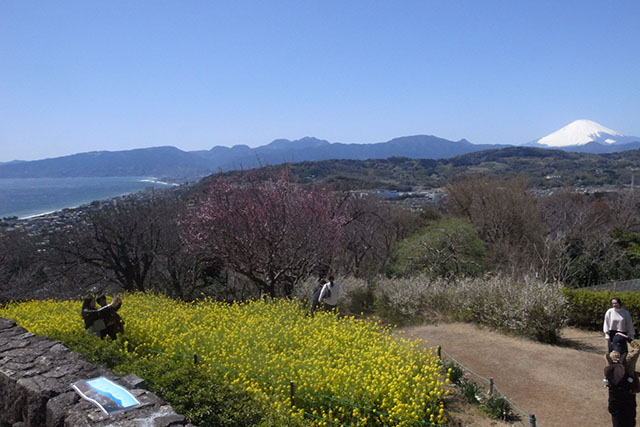 View From Azumayama Park