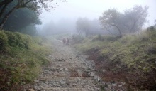 石ころや階段が多くとても疲れる登山道