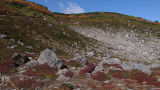 緩やかな登山道が続く