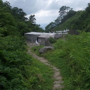 湯殿山神社の本殿