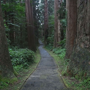 風情のある参道