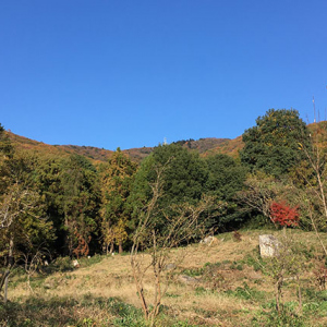 初冬の宝篋山