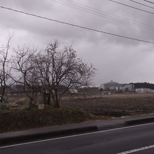 遠くに宮城県立がんセンター