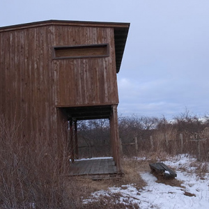 湖岸の観察小屋