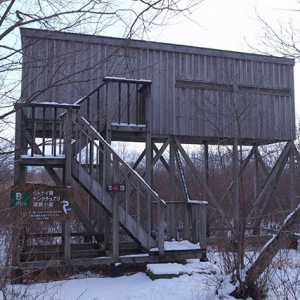 草原の観察小屋