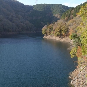 水面はいつもより低め