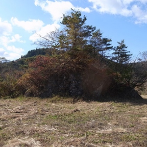 怪しい岩礁発見