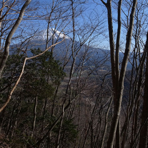 広葉樹林帯が続く