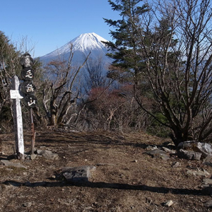 富士山をバックに