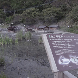 湯本温泉の源泉