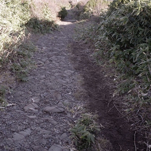 残念な登山道整備