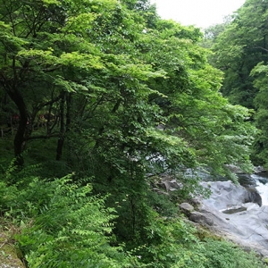 川沿いの遊歩道