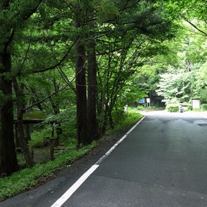 2.5km程登って行く