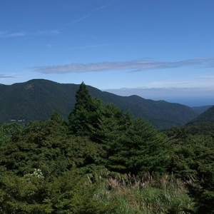 早雲山まで来たけれど