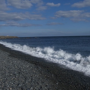 こゆるぎの浜