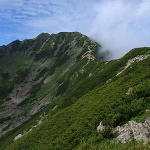 尾根沿いの心地よい道