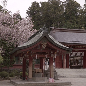 志波彦神社