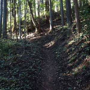 整備された山道を