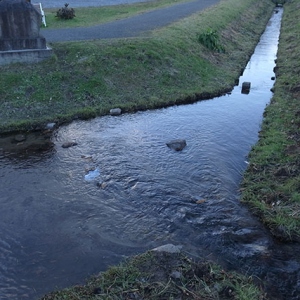 珍しい分水嶺