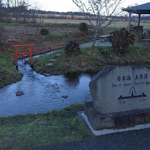 不思議な光景