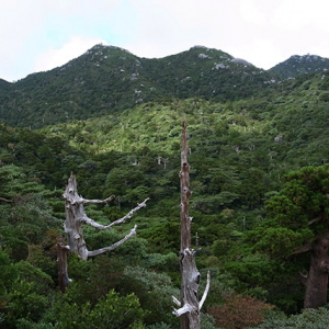 山の至る所に大きな岩が