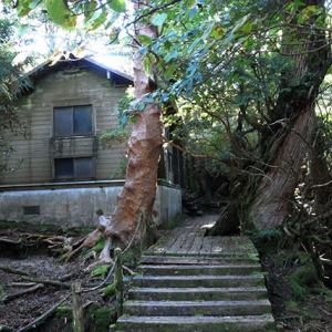 新高塚小屋の外観