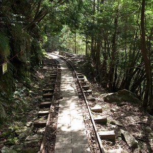 森林鉄道の軌道路